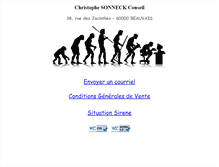 Tablet Screenshot of conseil.sonneck.fr
